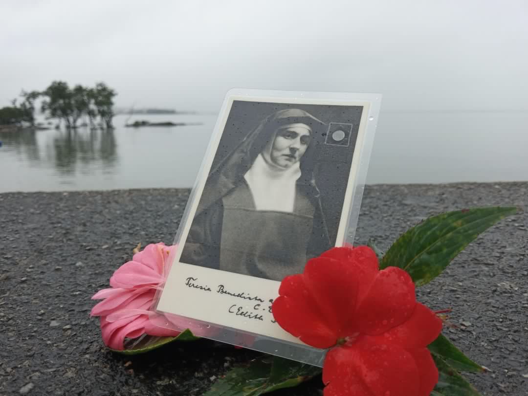 Santa Teresa Benedita da Cruz, ou Edith Stein, grande mestra dos mistérios  de Deus - Comunidade Católica Shalom