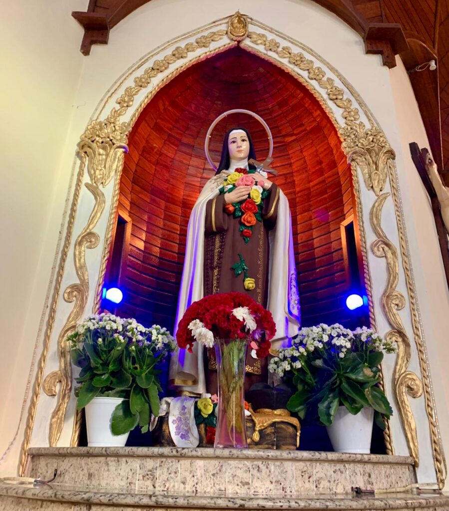 Novena em preparação para o Centenário de Canonização de Santa Teresinha!