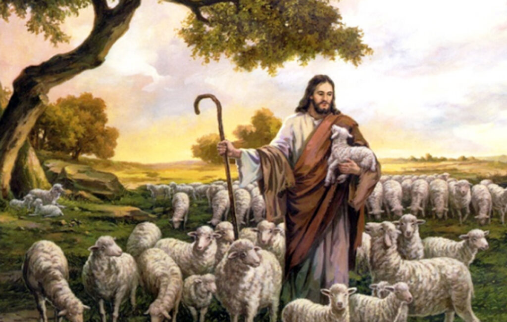 “Aquele que entra pela porta é o pastor das ovelhas.”